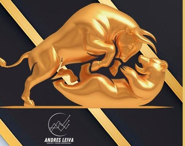 Licenciatura en Trading Profesional 2